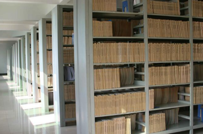 国产精品麻豆免费版,数字档案馆,档案数字化